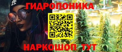 дживик Заводоуковск