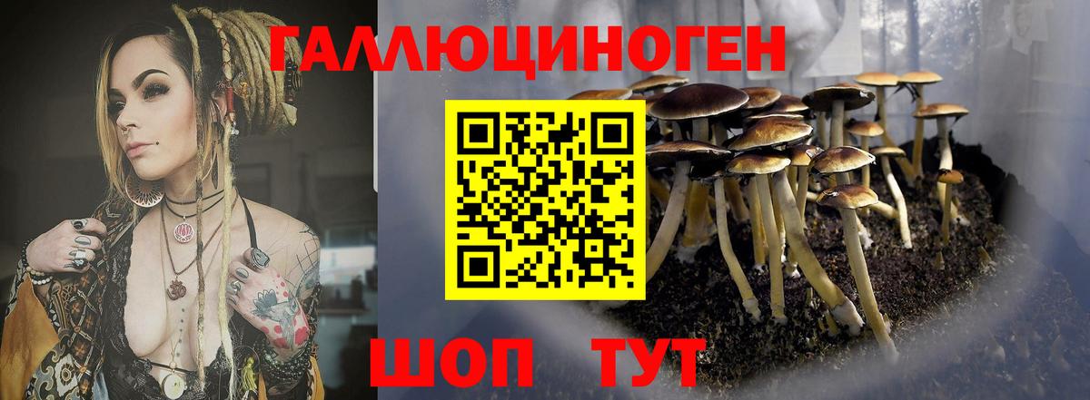 Заречный  Галлюциногенные грибы ЛСД  Вход с VPN  Псилоцибиновые грибы прущие грибы 