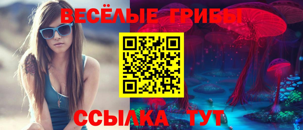 Галлюциногенные грибы прущие грибы Заречный